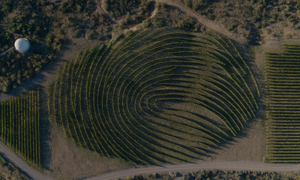 371768311_808752201252758_2511444851089731002_n