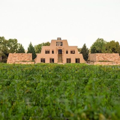 the-vineyards-in-front