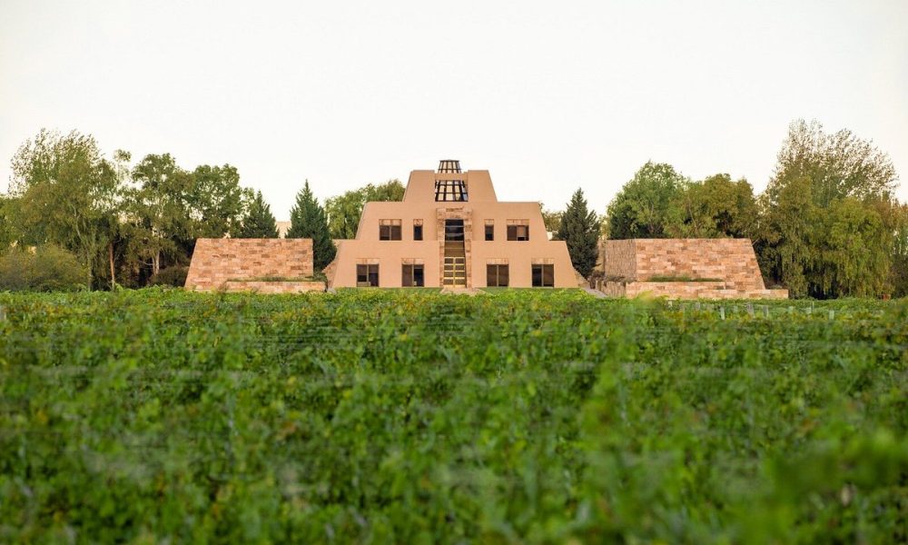 the-vineyards-in-front